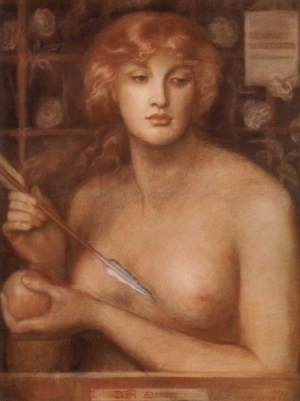 Dante Gabriel Rossetti Venus Verticordia oil painting picture